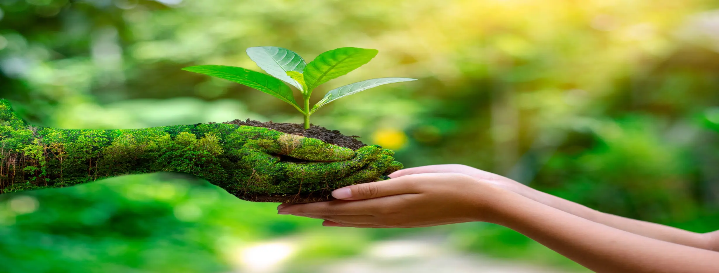 Image for Green Environment